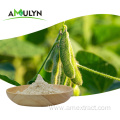 Vegetable Protein Soy Protein Isolate Powder
